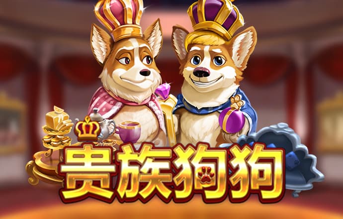 银河5144官网